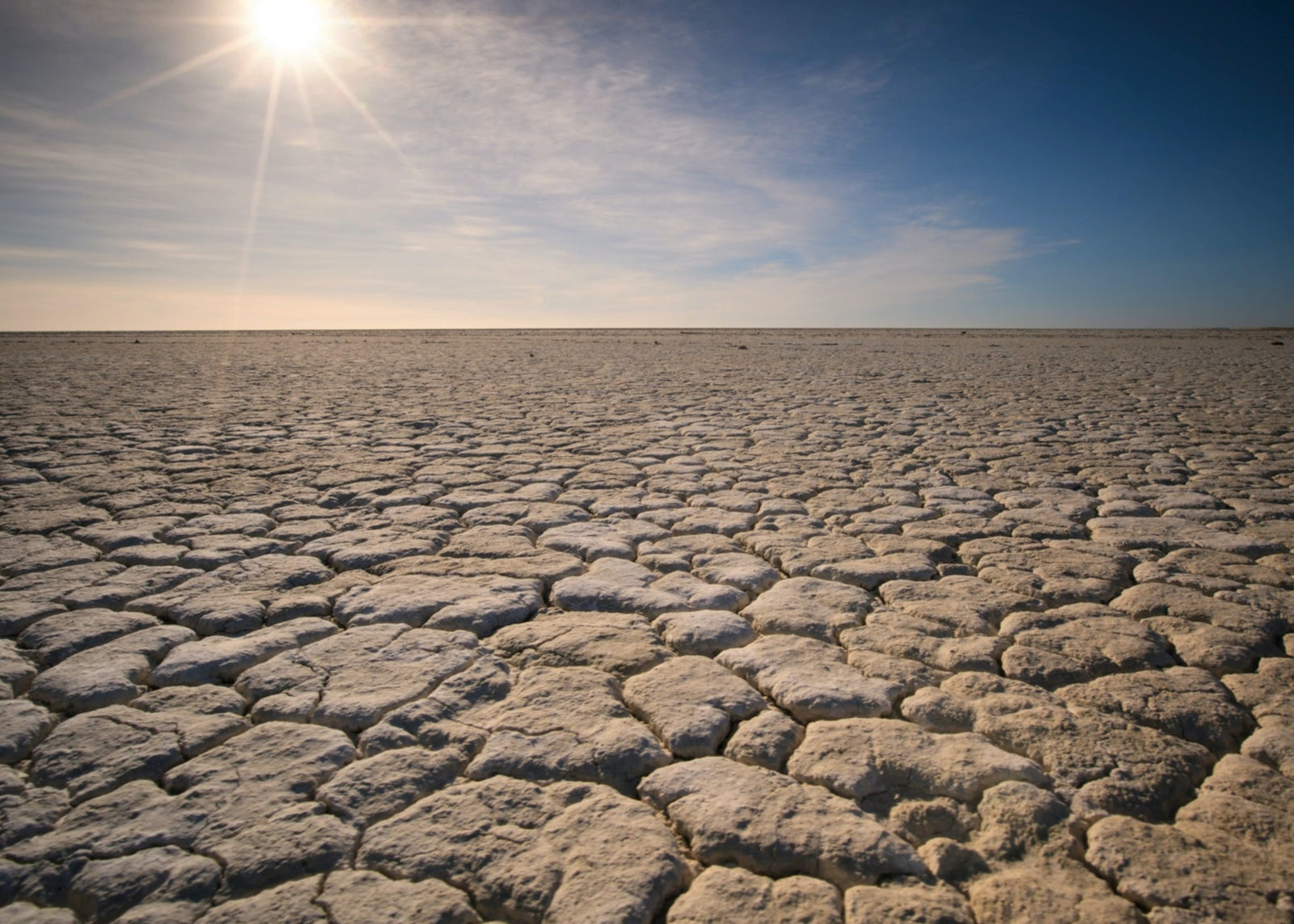 COP27: Why was this conference so monumental?